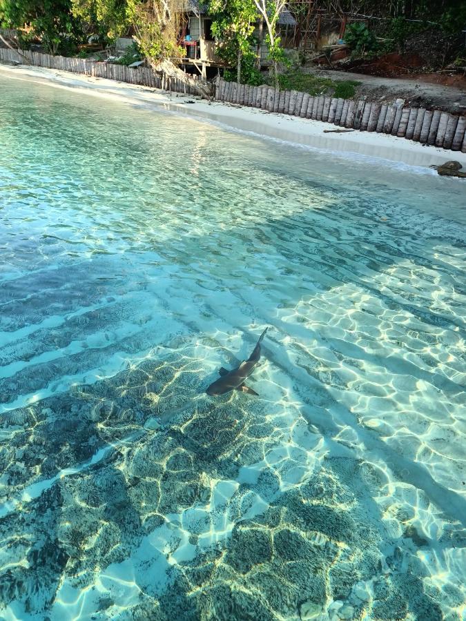 Warahnus Dive Homestay Kri Экстерьер фото