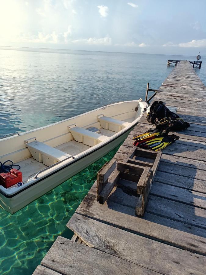 Warahnus Dive Homestay Kri Экстерьер фото